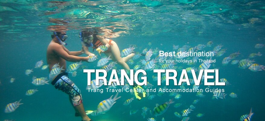 trang07