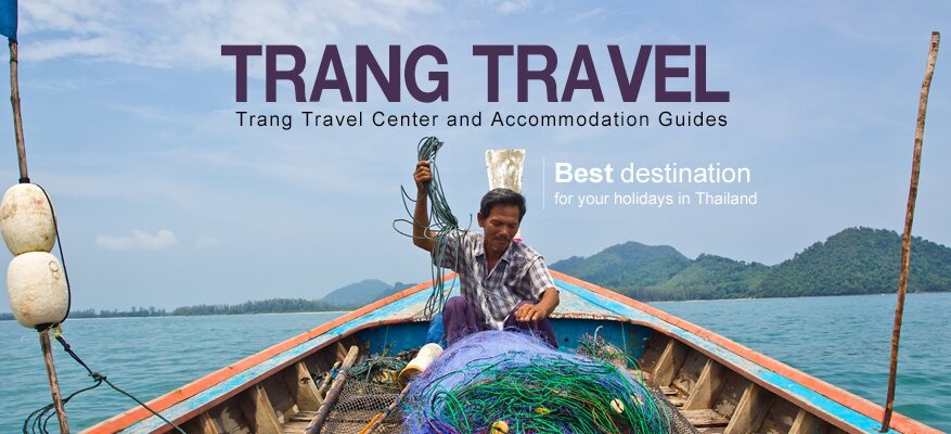 trang11